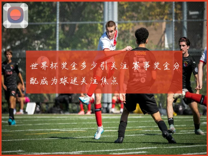 世界杯奖金多少引关注 赛事奖金分配成为球迷关注焦点