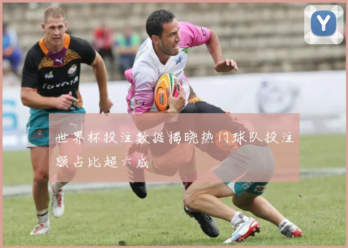 世界杯投注数据揭晓热门球队投注额占比超六成