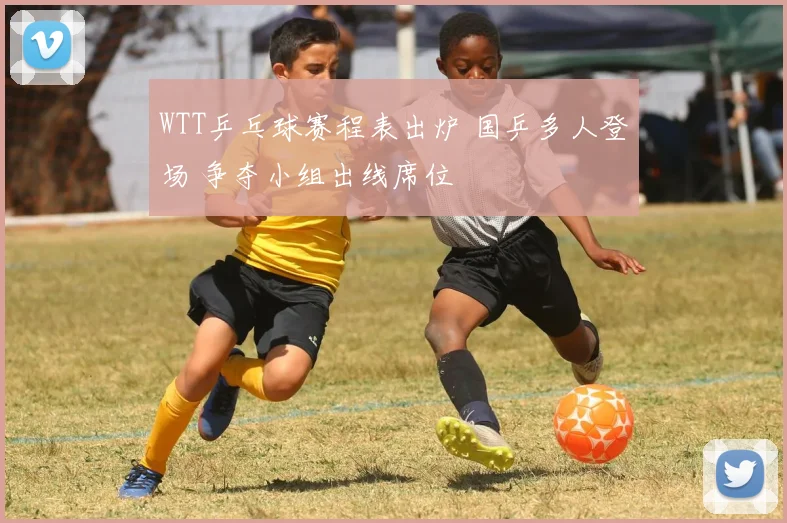 WTT乒乓球赛程表出炉 国乒多人登场 争夺小组出线席位